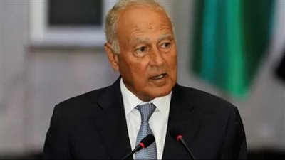 أبو الغيط: التميز المؤسسي سبيل النهوض بالعمل الحكومي العربي 