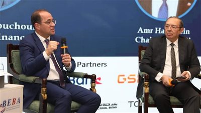 وزير المالية يؤكد بدء تنفيذ الحزمة الأولى للتسهيلات الضريبية