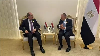 وزير الخارجية يؤكد موقف مصر الثابت والداعم لسوريا