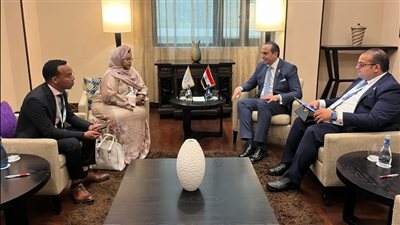 تعاون مشترك بين مصر والصومال لتطوير الخدمات الطبية والعلاجية