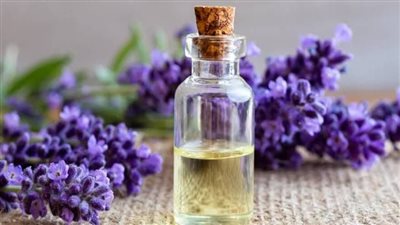 فوائد زيت اللافندر للصحة العامة: تأثيراته المدهشة على الجسم والعقل