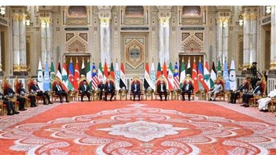 تفاصيل «إعلان القاهرة» خلال قمة الدول الثماني النامية للتعاون الاقتصادي