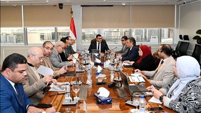 للمصريين بالخارج.. إطلاق 5000 وحدة وفيلا سكنية ضمن مبادرة «بيتك في مصر»