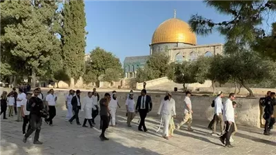 استفزاز لمشاعر المسلمين حول العالم.. القدس تحذر من التصعيد بشأن اقتحامات الأقصى