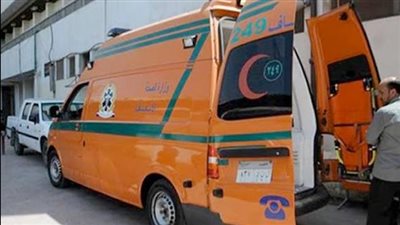 القصة الكاملة لوفاة الطالبة ريناد عادل بسبب التنمر وأخر كلماتها