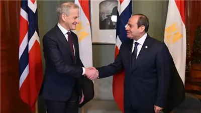 لتحقيق الاستقرار والسلام.. مصر والنرويج يعقدان مشاورات سياسية حول القضايا