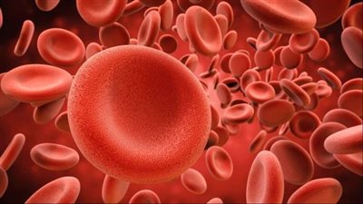 10 أطعمة أساسية تخلصك من فقر الدم وتعزز صحتك