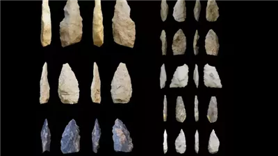 عمرها 40 ألف عام.. أدوات حجرية تبرز تكيف الإنسان مع الغابات الاستوائية