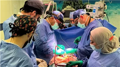 لأول مرة بالعالم.. جامعة المنصورة تنجح فى إعادة بناء صمامات الأورطى