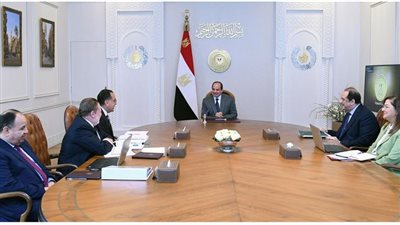 السيسي يؤكد ضرورة تحقيق التكامل بين الإنتاج المحلي ومتطلبات السوق