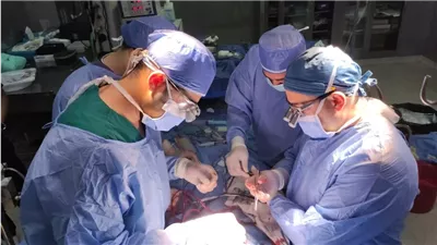 جامعة القاهرة: نجاح إجراء أول جراحة قلب مفتوح لطفل من غزة