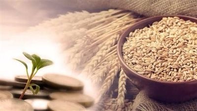 هل تغني شنطة رمضان عن زكاة الفطر؟.. تعرف على الشرعي