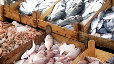 أسعار السمك اليوم 16 أبريل 2025.. ثبات في السوق وزيادة في المعروض