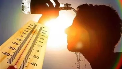 الأرصاد: طقس شديد الحرارة غدا السبت.. والرطوبة تزيد الشعور بحرارة الجو