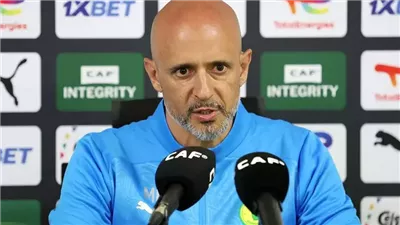 مدرب صنداونز يعتذر عن تصريحاته بشأن جماهير مباراة الأهلي.. «أخطأت في التقدير»