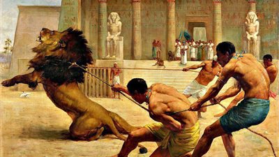 جراء التسلية.. مقبرة دليل على المصارعة بين البشر والأسود بالعصر الروماني