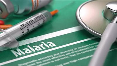 «في اليوم العالمي» الملاريا تهاجم بصمت..10 علامات تكشف الإصابة المحتمل