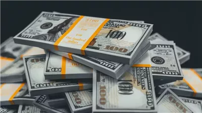 أسعار الدولار اليوم اليوم الأحد.. استقرار يعكس ثقة البنوك في الاقتصاد المصري