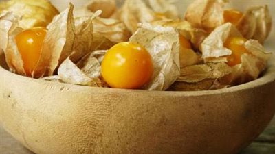 فوائد مذهلة لجسمك.. كيف يعزز «الحرنكش» المناعة ويقاوم الالتهابات؟