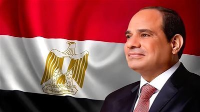 السيسي يستقبل الرئيس التنفيذي لمؤسسة التمويل الدولية ويؤكد أهمية التعاون 