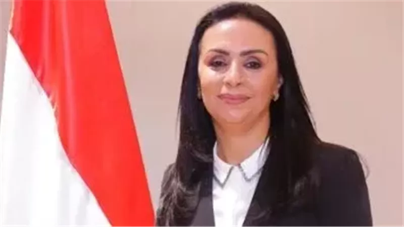 القارئ نيوز