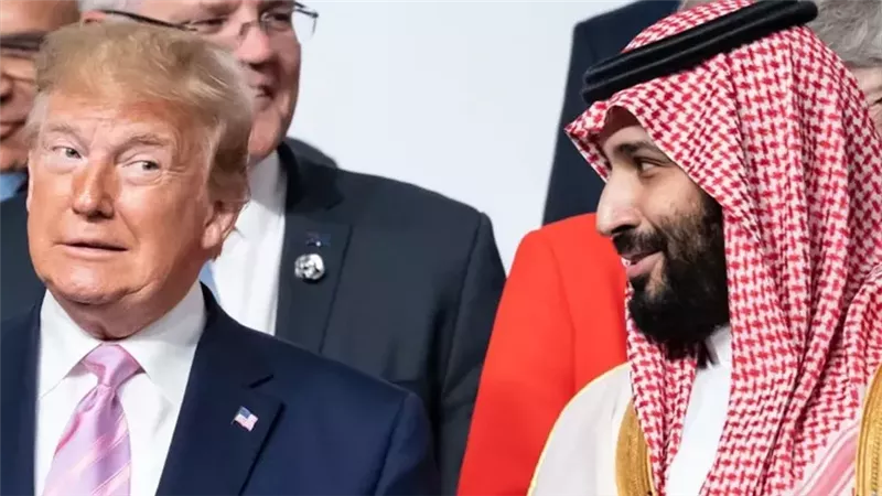 القارئ نيوز