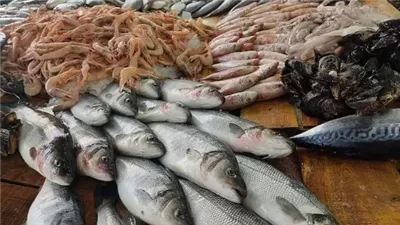 أسعار الأسماك اليوم الإثنين في مصر.. استقرار نسبي