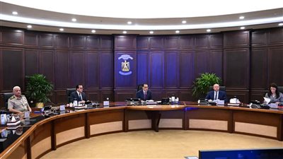 الوزراء يوافق على تقليص قائمة الكلاب الخطرة إلى 3 أنواع فقط