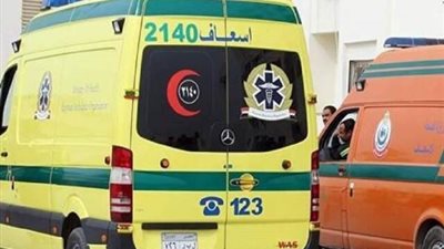 بيدافع عن أمواله.. سوداني يُنهي حياة شاب من إرتريا في الجيزة