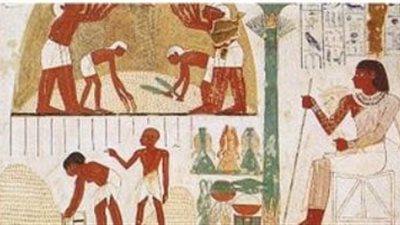 للتوازن بين الزراعة والعمارة.. الفراعنة أول من اتبعوا « التناوب في العمل»