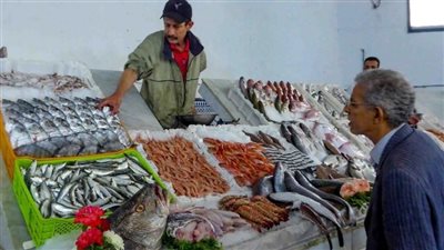 أسعار الأسماك اليوم في الأسواق.. البلطي ما بين 110 و115 جنيها