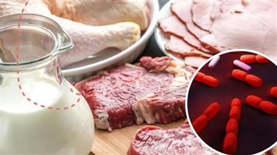 داء الليستريات يحصد الأرواح فى بريطانيا، ما حقيقته وكيفية الوقاية منه؟