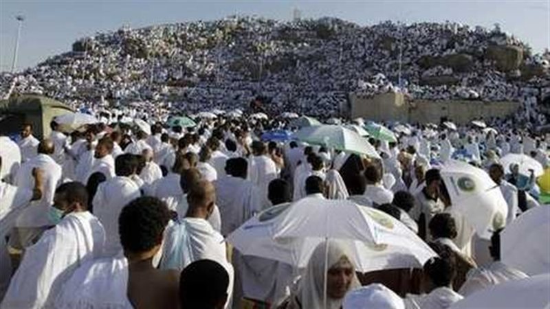 القارئ نيوز