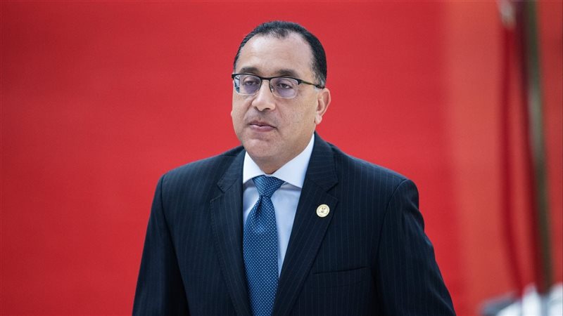 القارئ نيوز