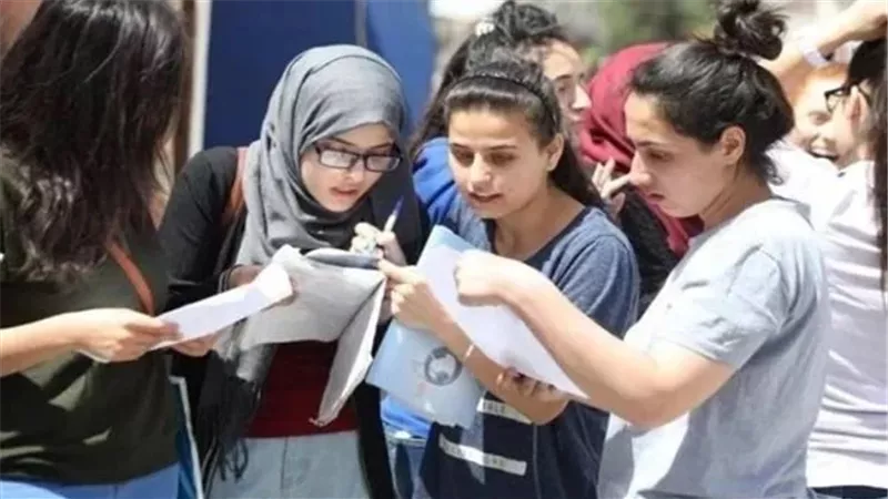 القارئ نيوز