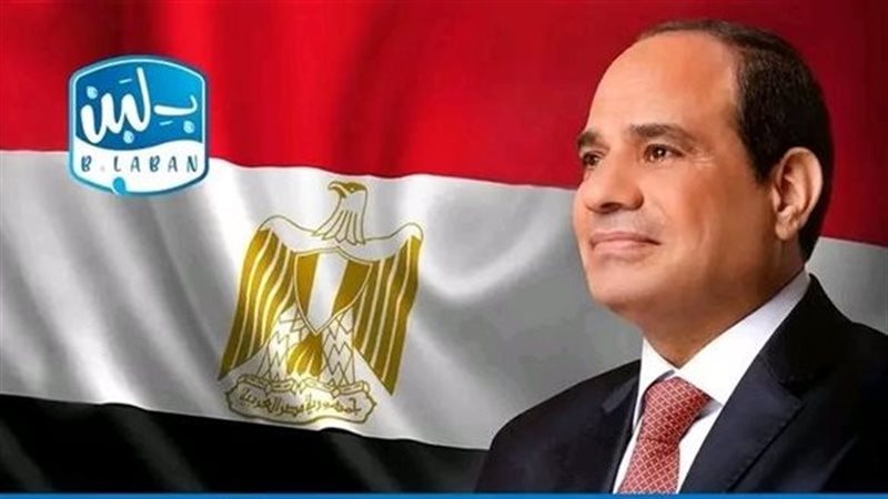 القارئ نيوز