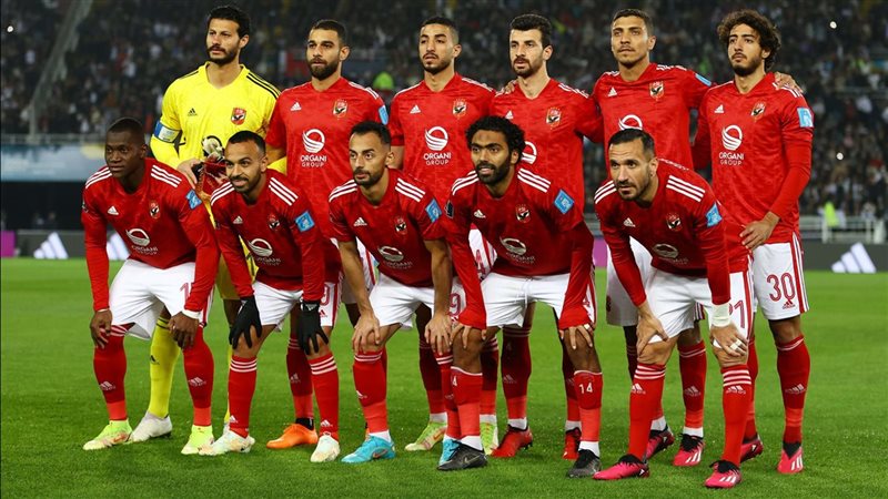 القارئ نيوز