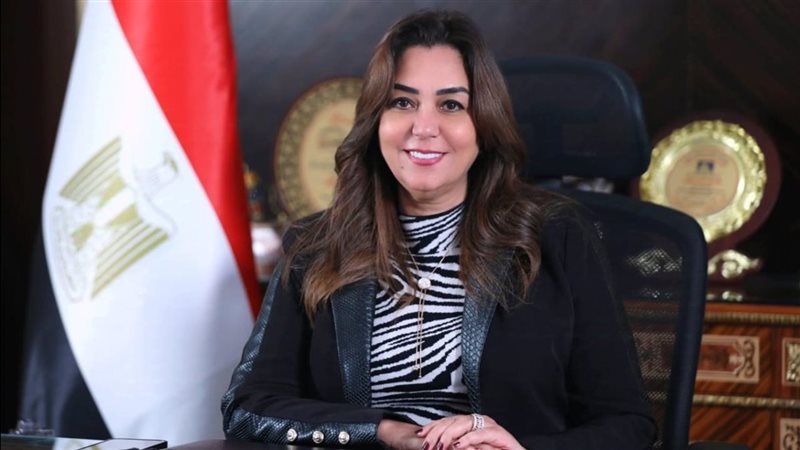 القارئ نيوز