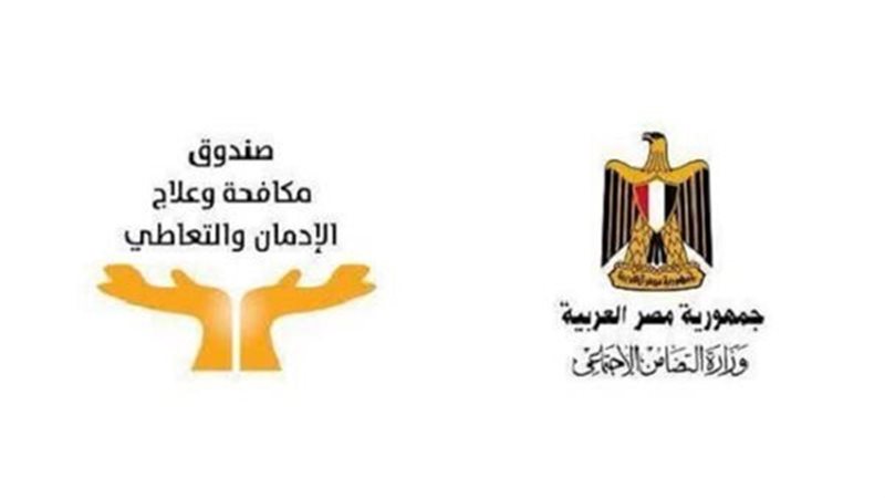 القارئ نيوز