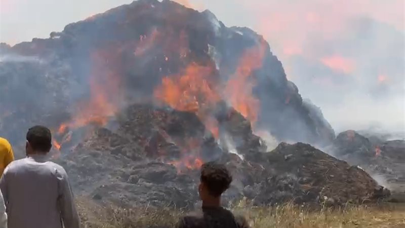 حريق شون الكتان بالغربية