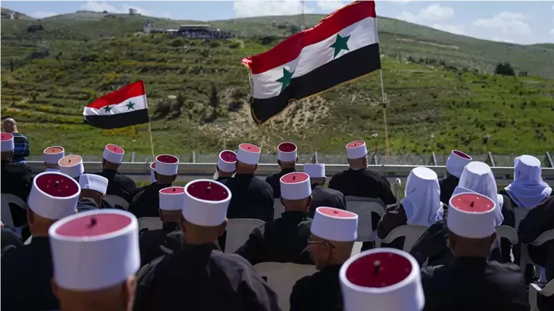 القارئ نيوز
