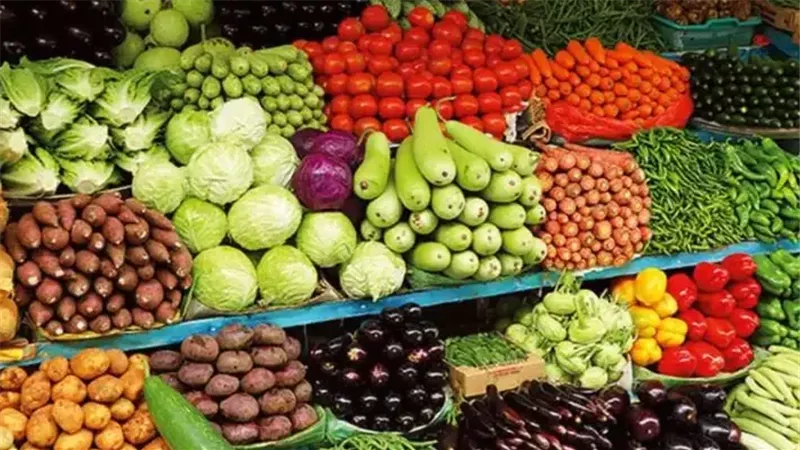 القارئ نيوز