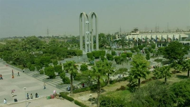 القارئ نيوز