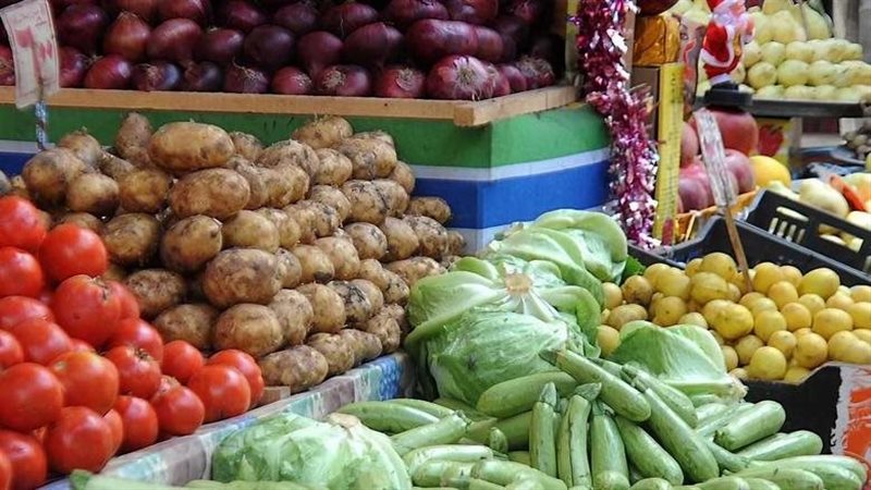 القارئ نيوز