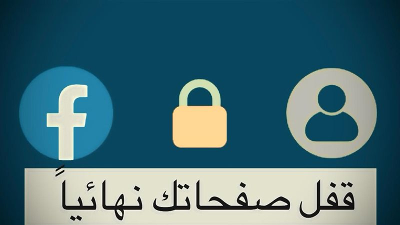 القارئ نيوز