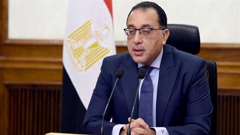 القارئ نيوز