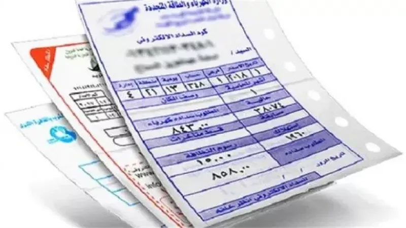 القارئ نيوز