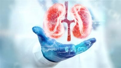 كيف تحافظ على صحة الكلى؟ 3 نصائح وأطعمة لا غنى عنها