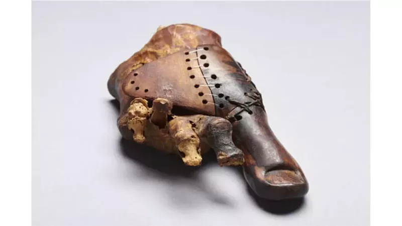 أطراف صناعية