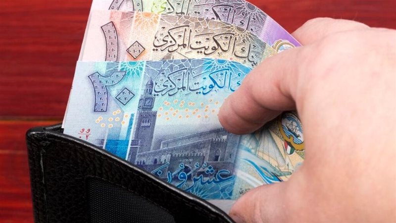 القارئ نيوز